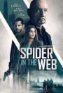 Ağdaki Örümcek - Spider in the Web