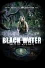 Black Water - Black Water