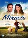 Mucize Köpek - Marshall the Miracle Dog